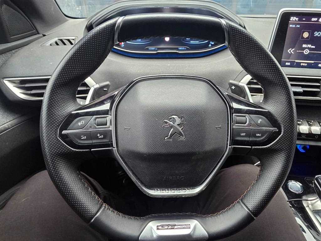 Peugeot 3008 - Vista 12