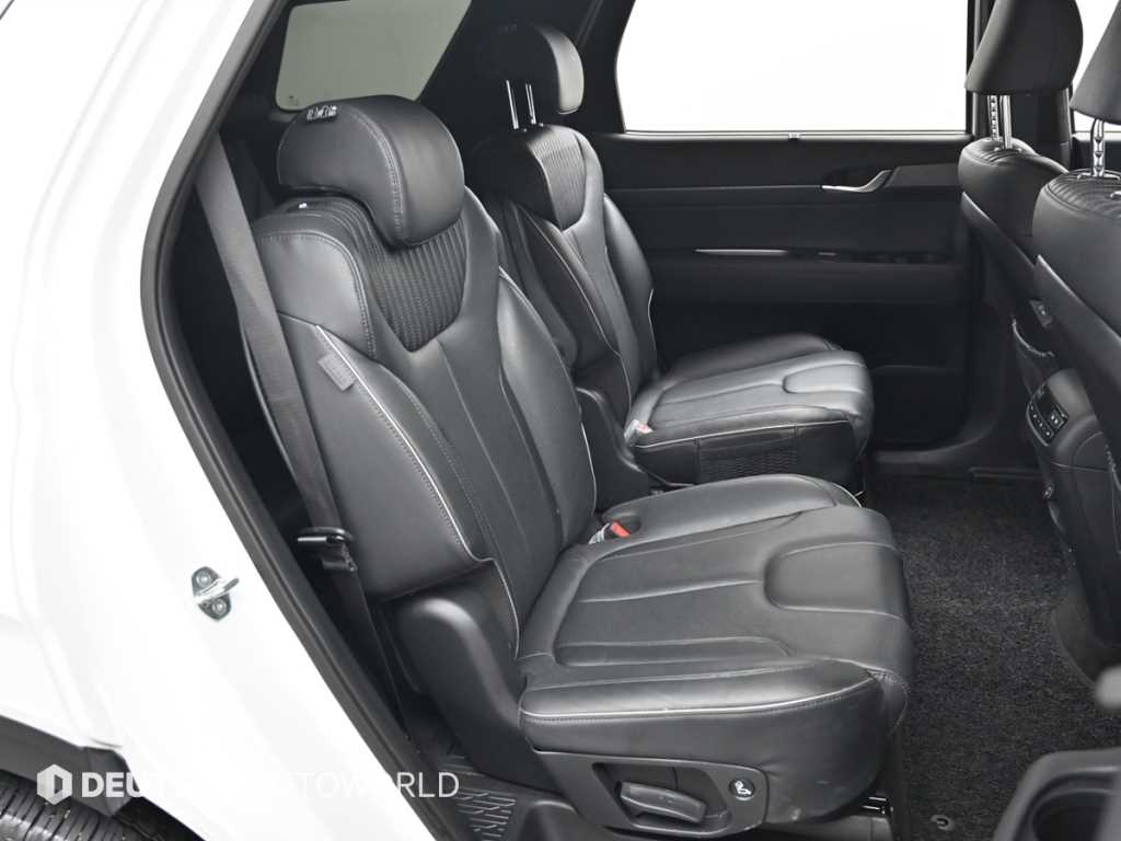 HYUNDAI Palisade - Vista 12