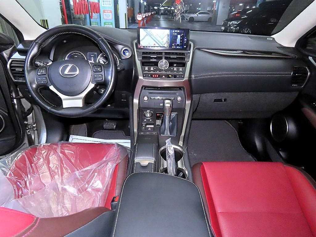 Lexus NX - Vista 10