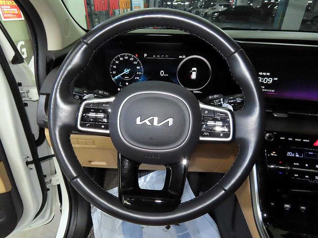 KIA Carnival - Vista 8
