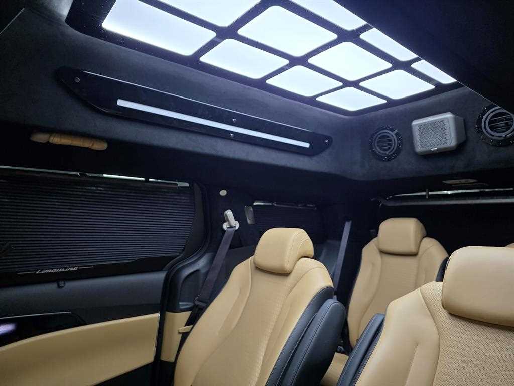 KIA Carnival - Vista 12