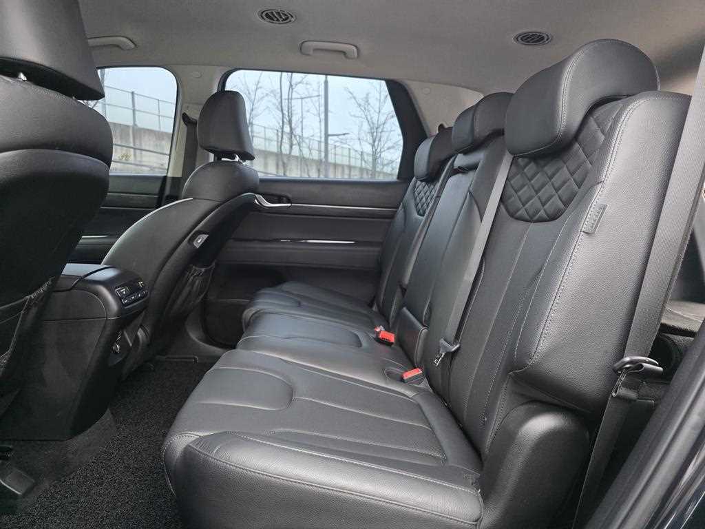 HYUNDAI Palisade - Vista 8