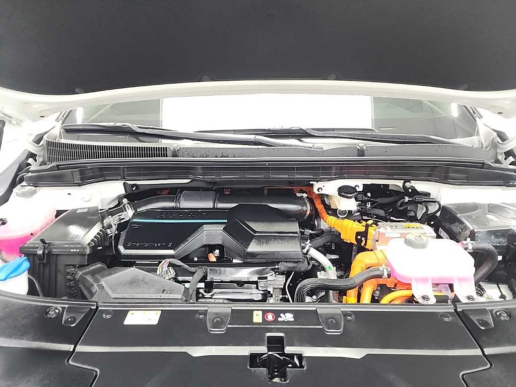 KIA Carnival - Vista 5