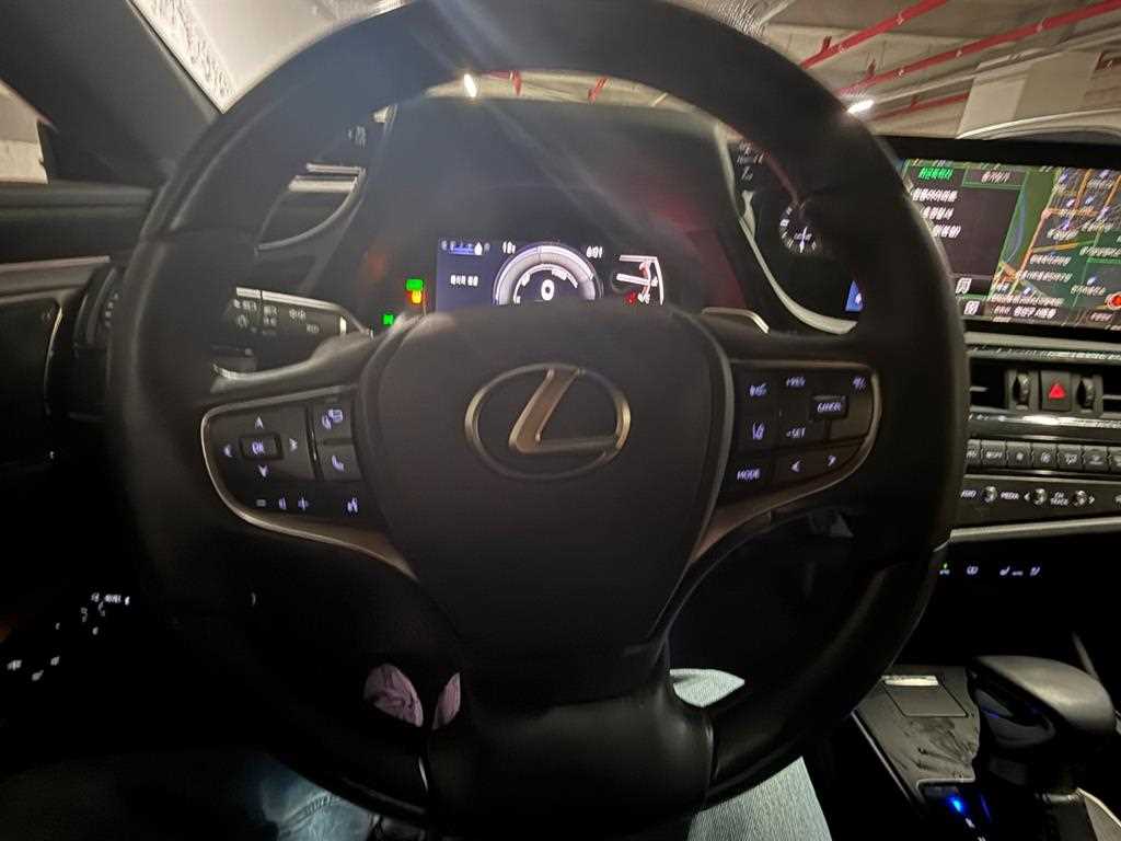 Lexus ES - Vista 10