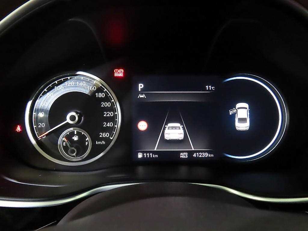 Genesis G80 - Vista 9