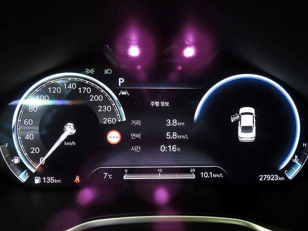 Genesis G80 - Vista 9