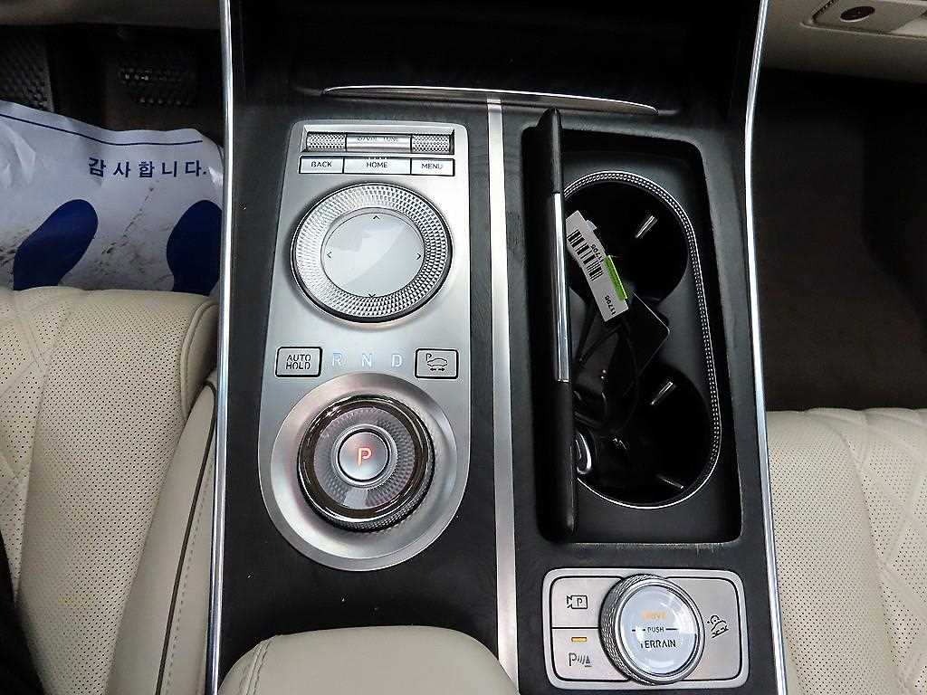 Genesis GV80 - Vista 10