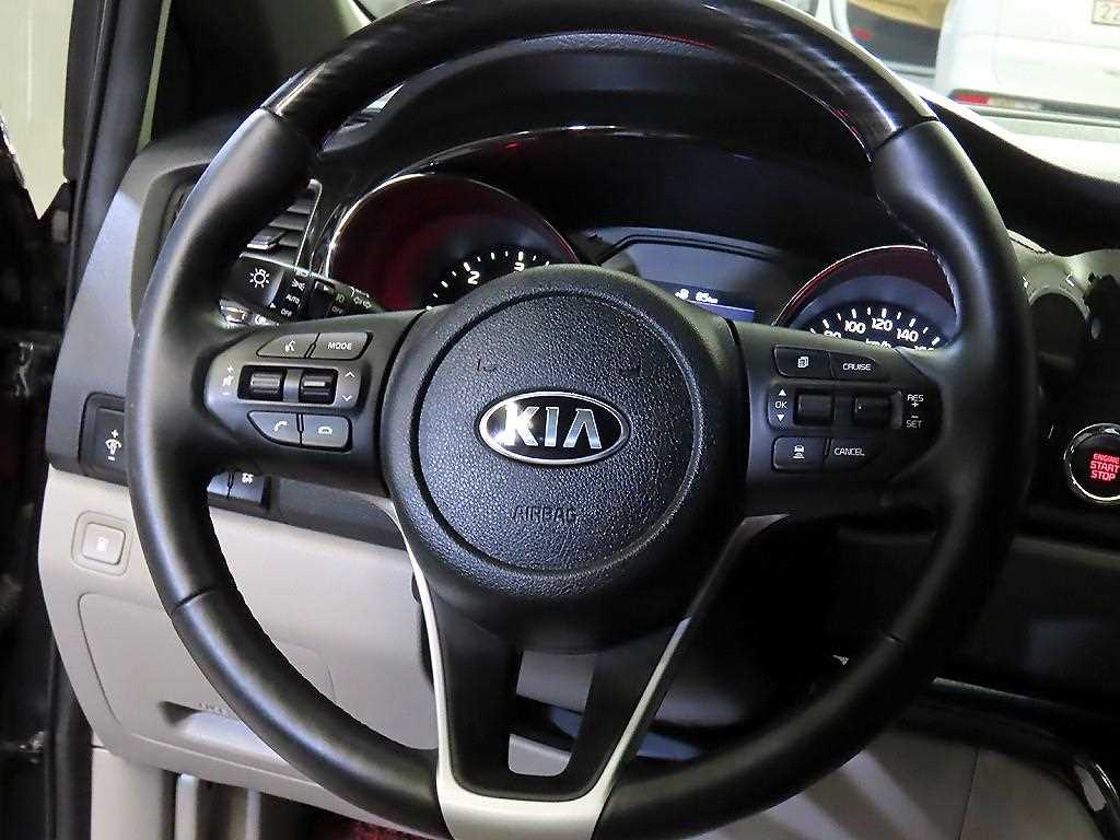 KIA Carnival - Vista 8