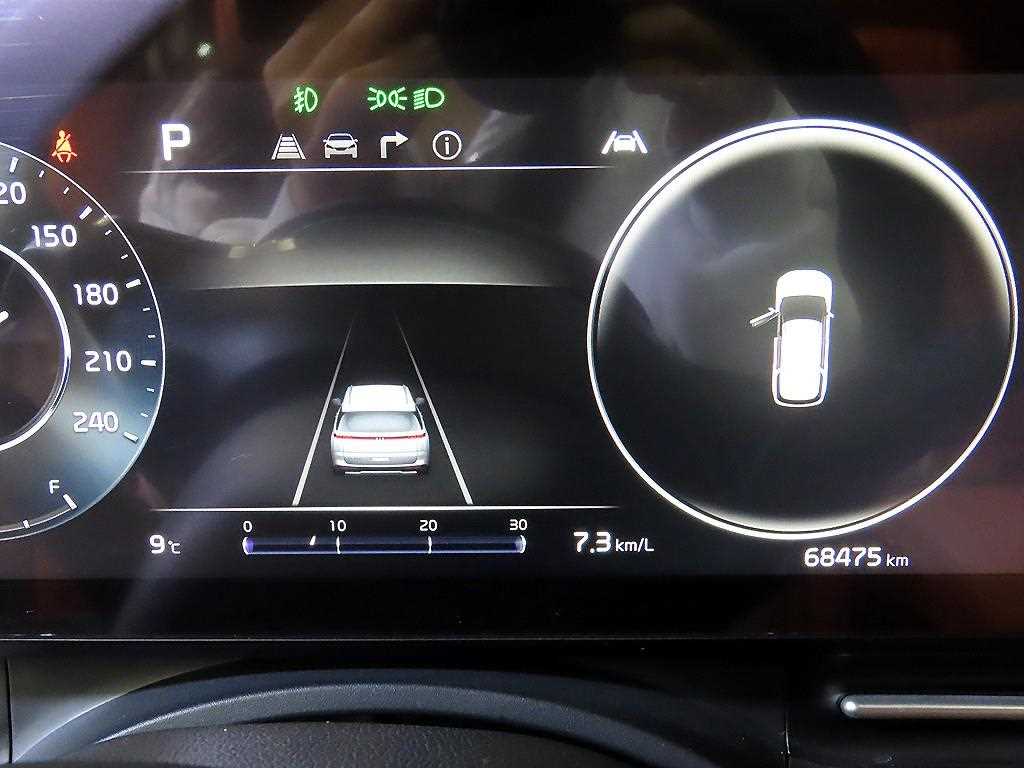 KIA Carnival - Vista 9