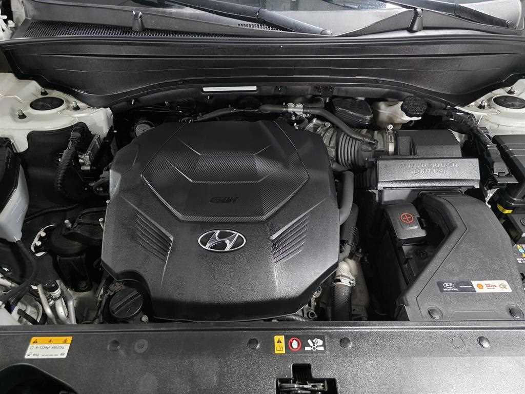 HYUNDAI Palisade - Vista 5