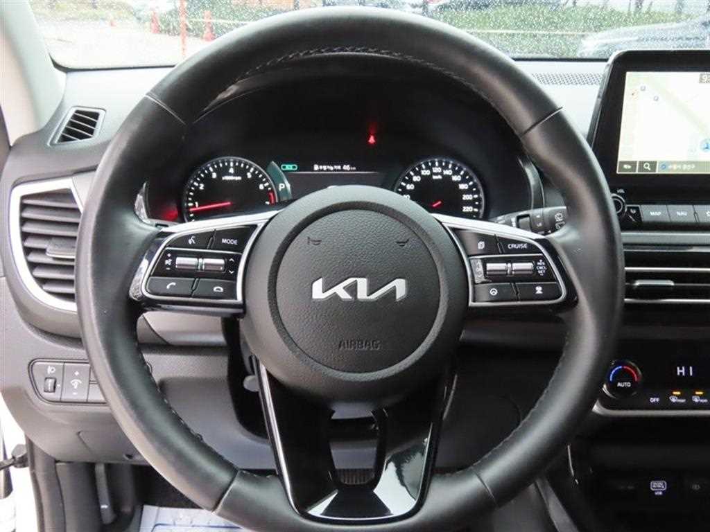 KIA Seltos - Vista 10