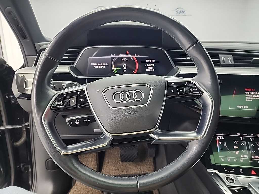 Audi e-Tron - Vista 9