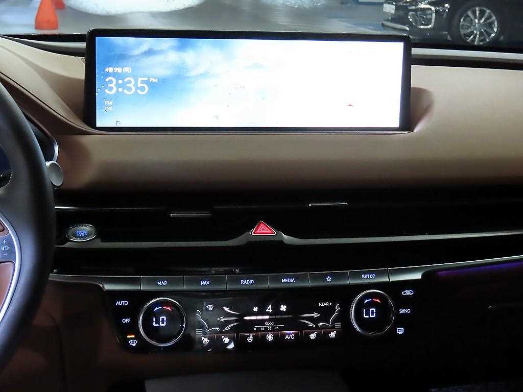 Genesis G80 - Vista 11