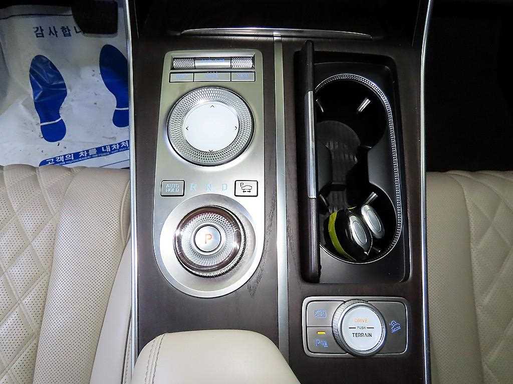 Genesis GV80 - Vista 12