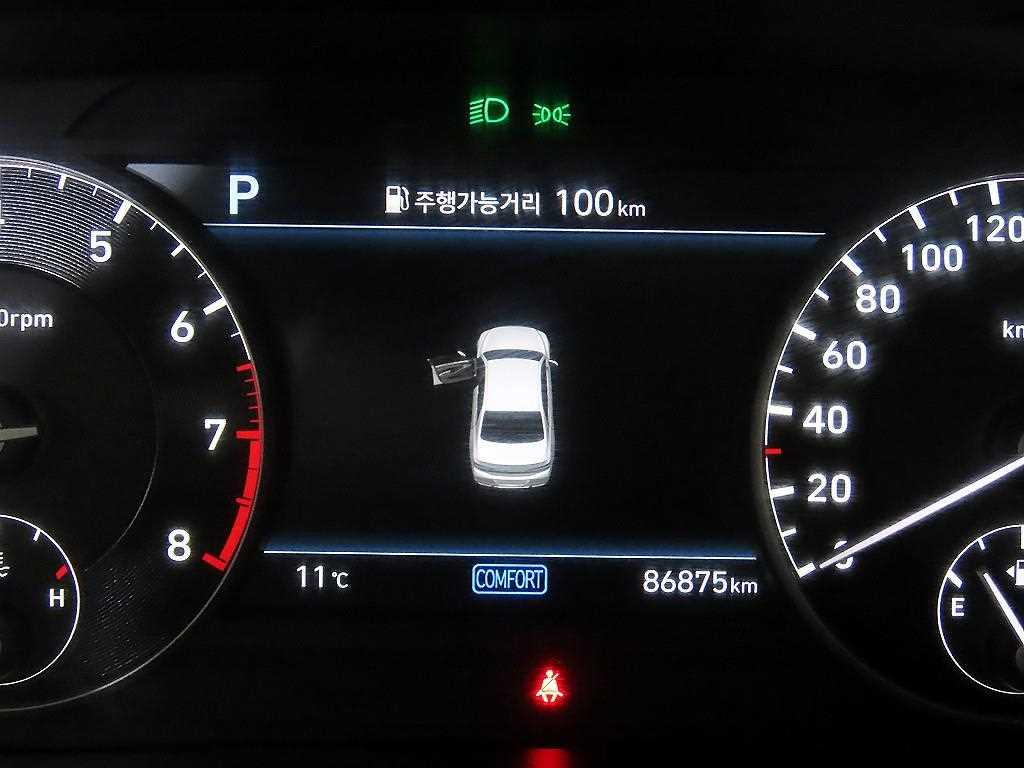 Genesis G90 - Vista 9