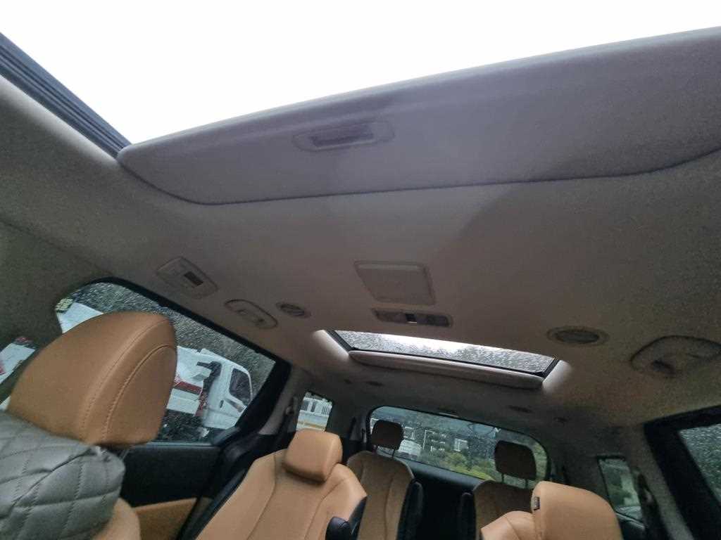 KIA Carnival - Vista 7