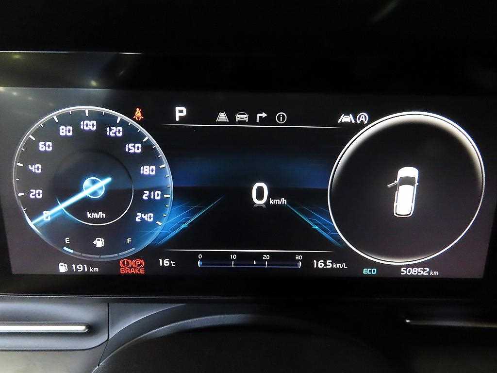 KIA Carnival - Vista 9