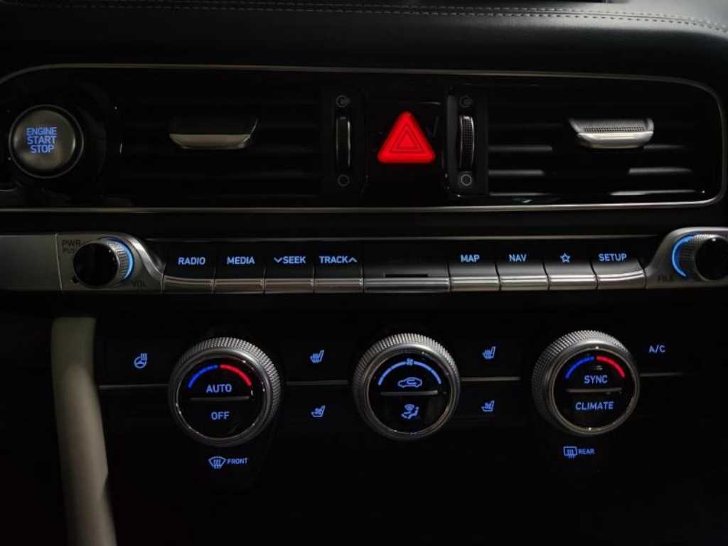 Genesis G70 - Vista 12