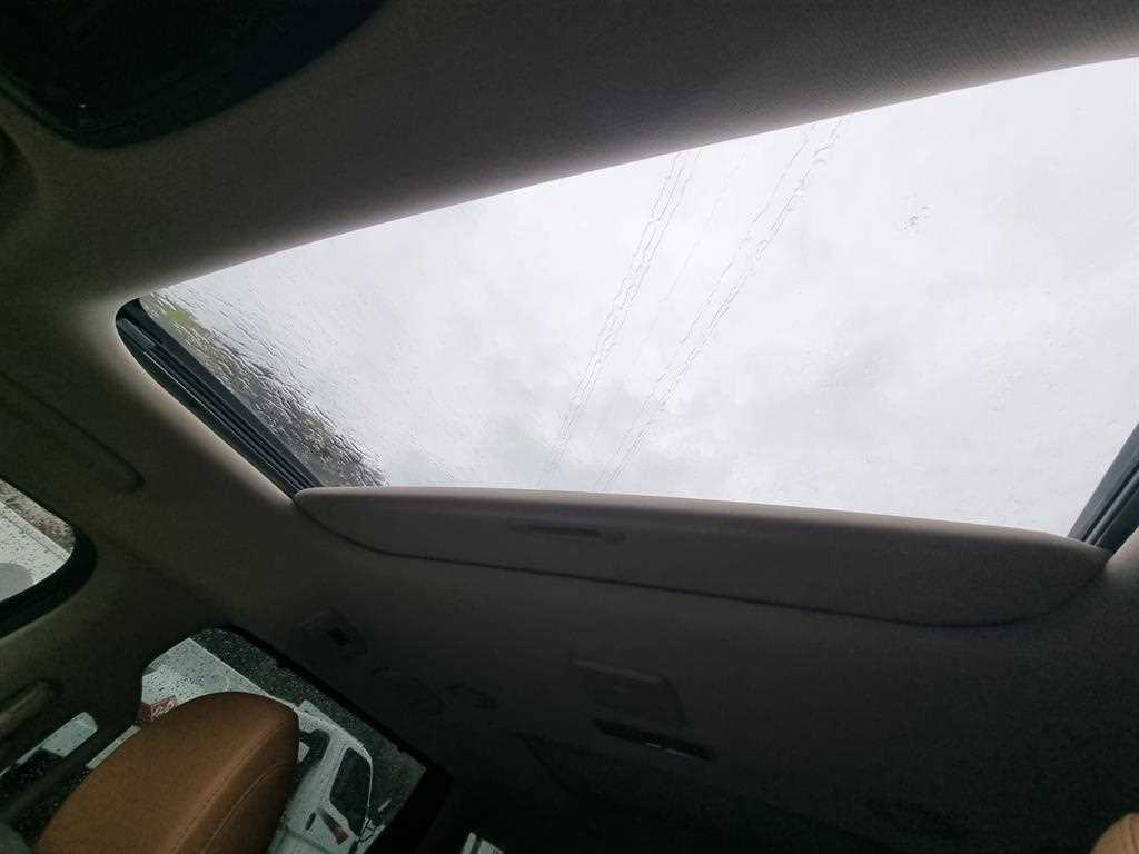 KIA Carnival - Vista 9