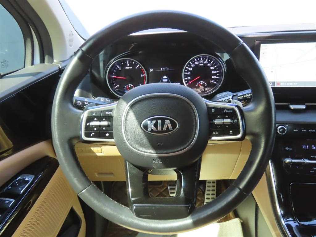 KIA Carnival - Vista 11