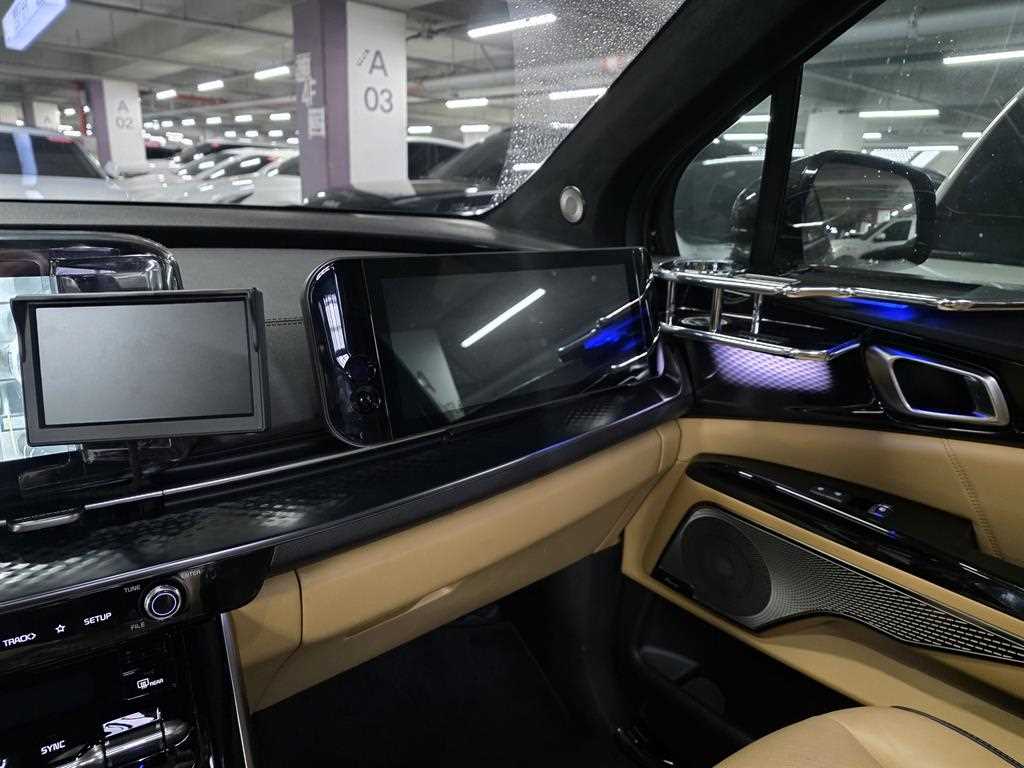 KIA Carnival - Vista 11