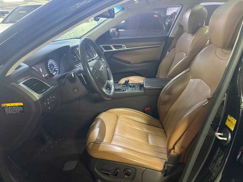 HYUNDAI Genesis - Vista 12