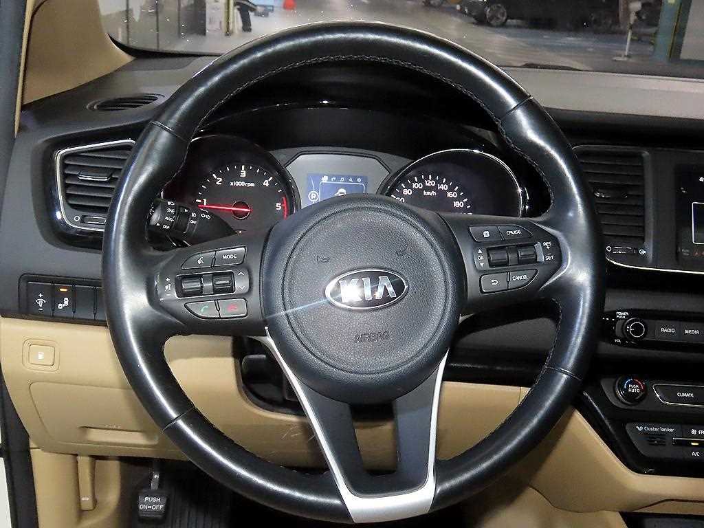 KIA Carnival - Vista 8