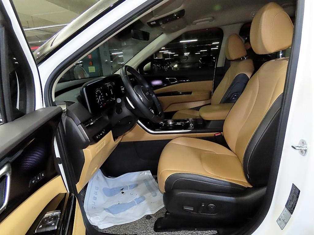 KIA Carnival - Vista 6