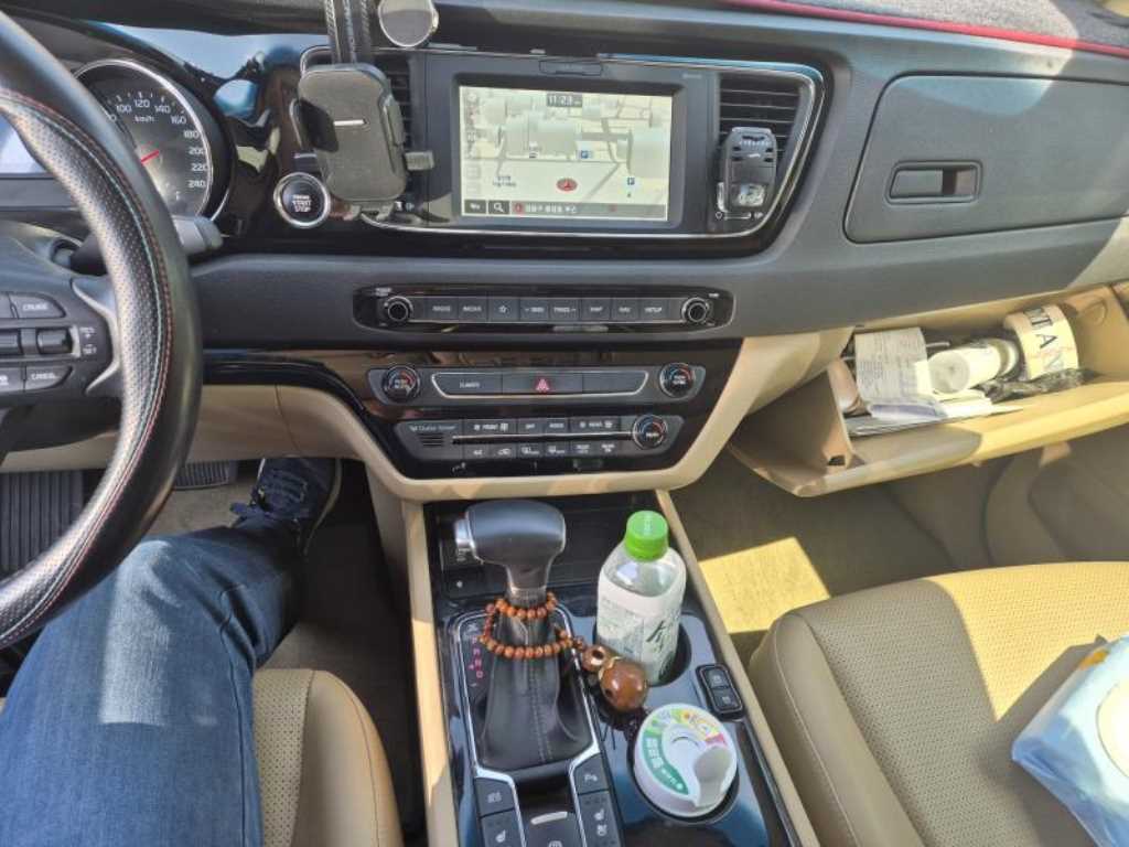KIA Carnival - Vista 4