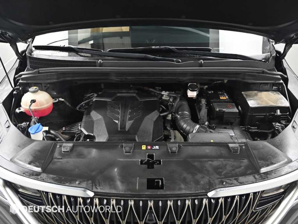 KIA Carnival - Vista 6