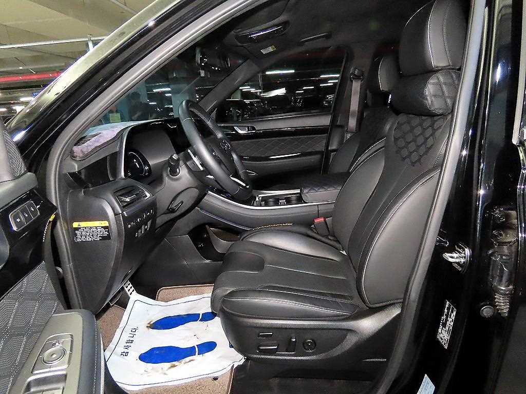 HYUNDAI Palisade - Vista 6