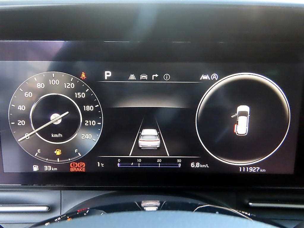 KIA Carnival - Vista 10