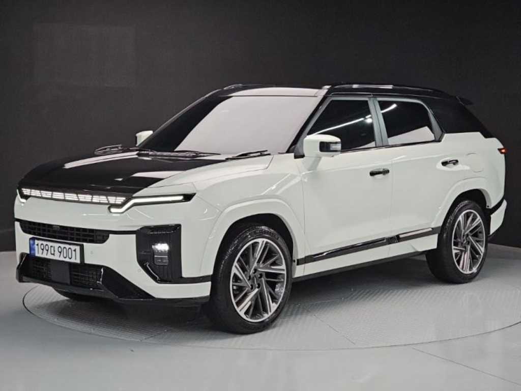 Ssangyong Action - Vista 2