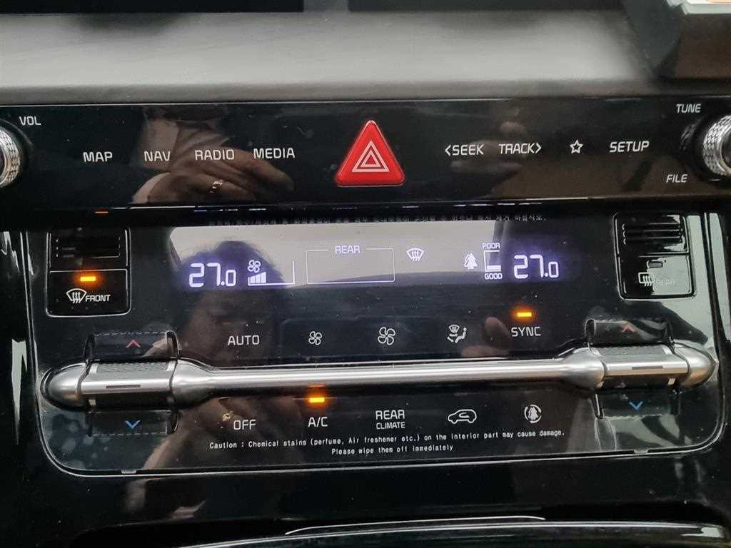 KIA Carnival - Vista 10