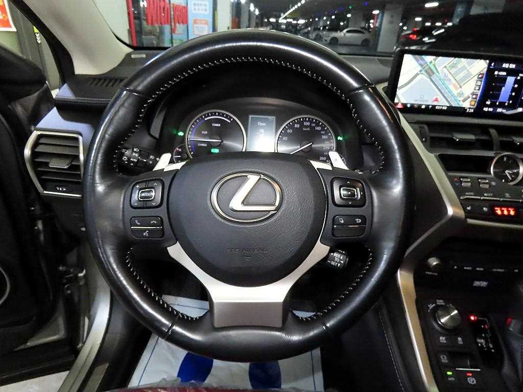 Lexus NX - Vista 8