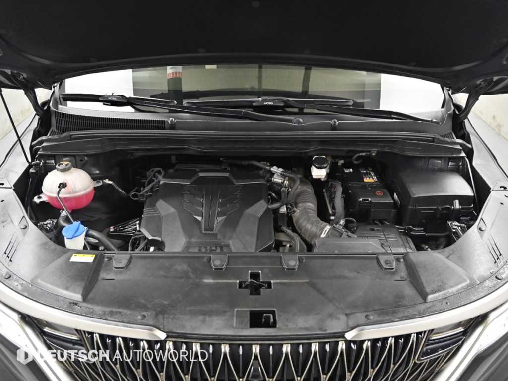 KIA Carnival - Vista 6