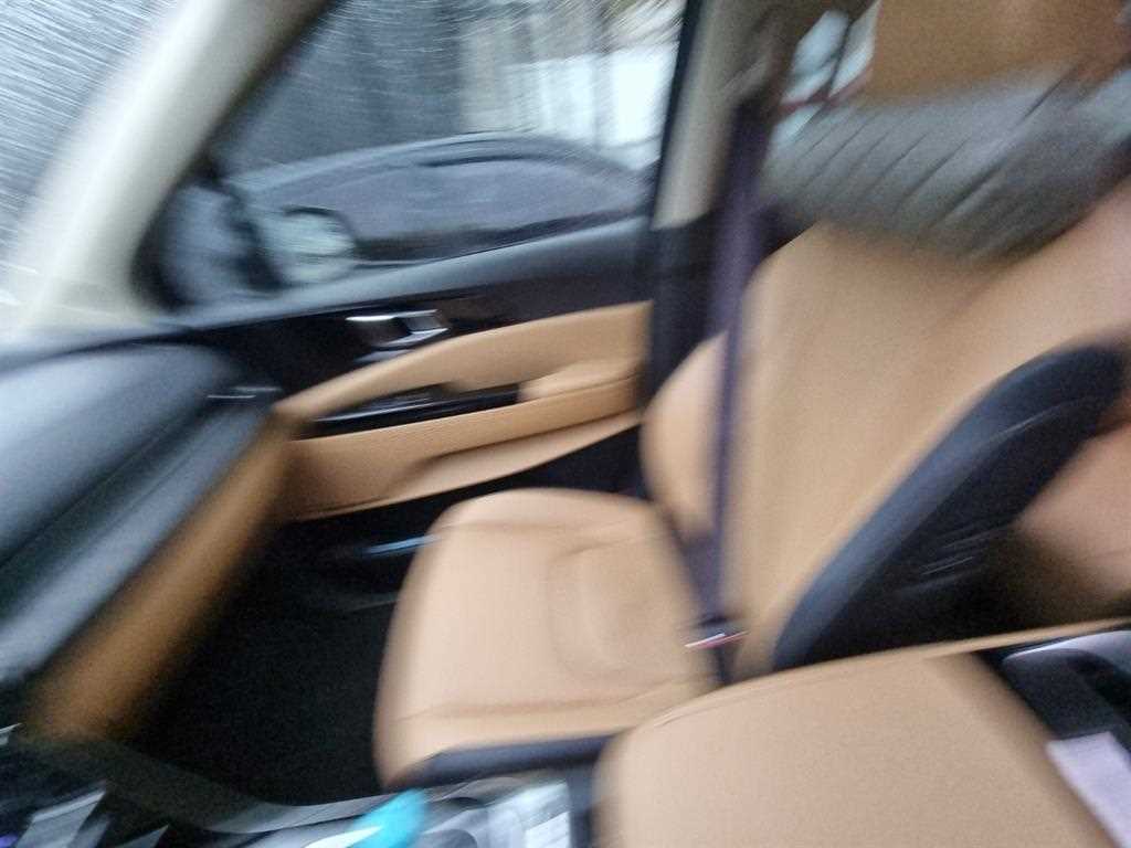 KIA Carnival - Vista 8