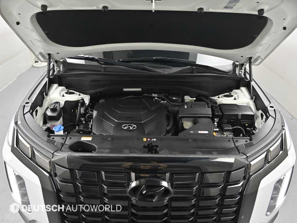 HYUNDAI Palisade - Vista 6