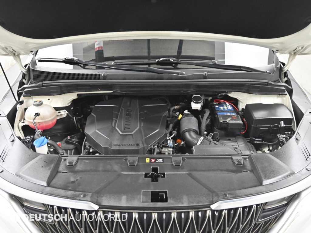 KIA Carnival - Vista 6