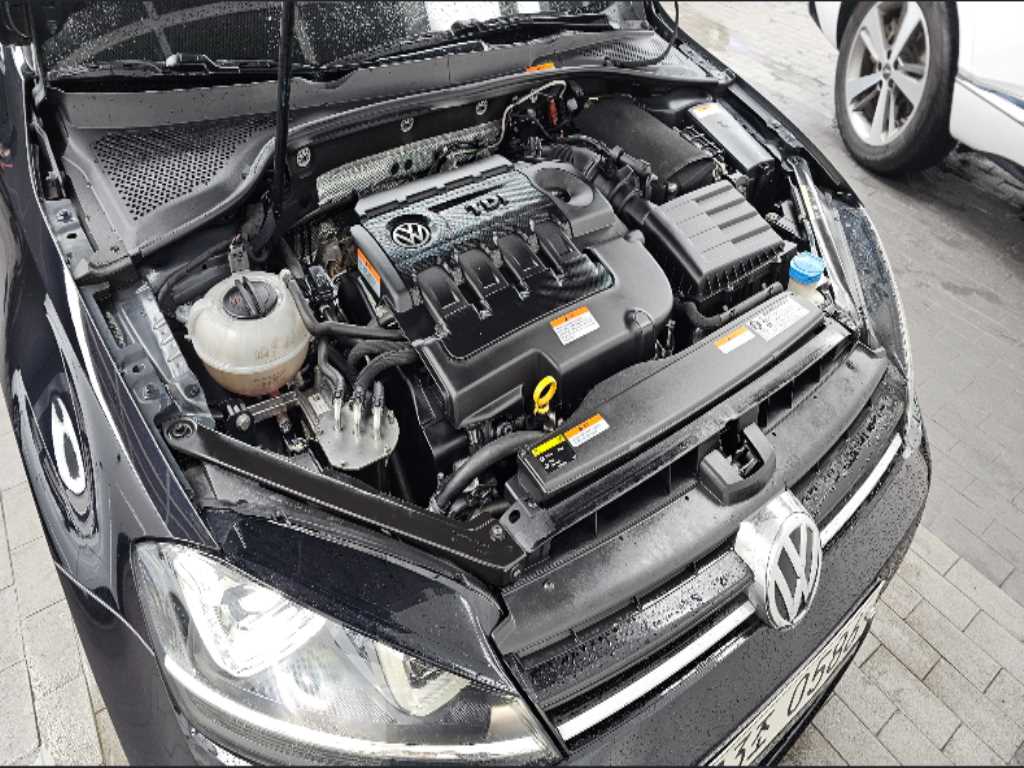Volkswagen Golf - Vista 6