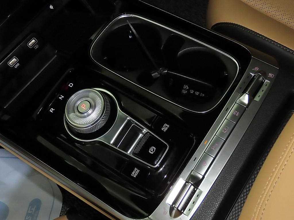 KIA Carnival - Vista 12