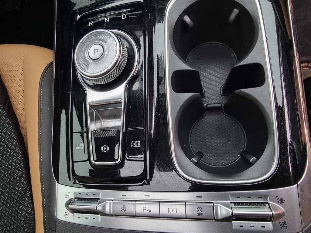 KIA Carnival - Vista 12