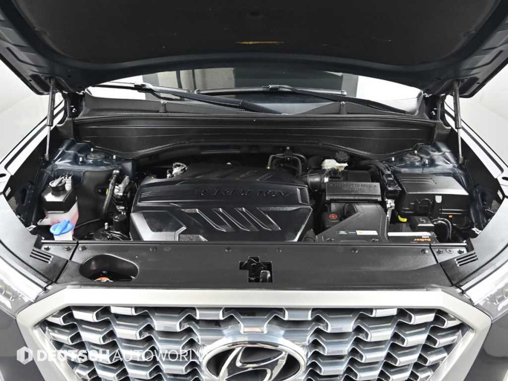 HYUNDAI Palisade - Vista 6