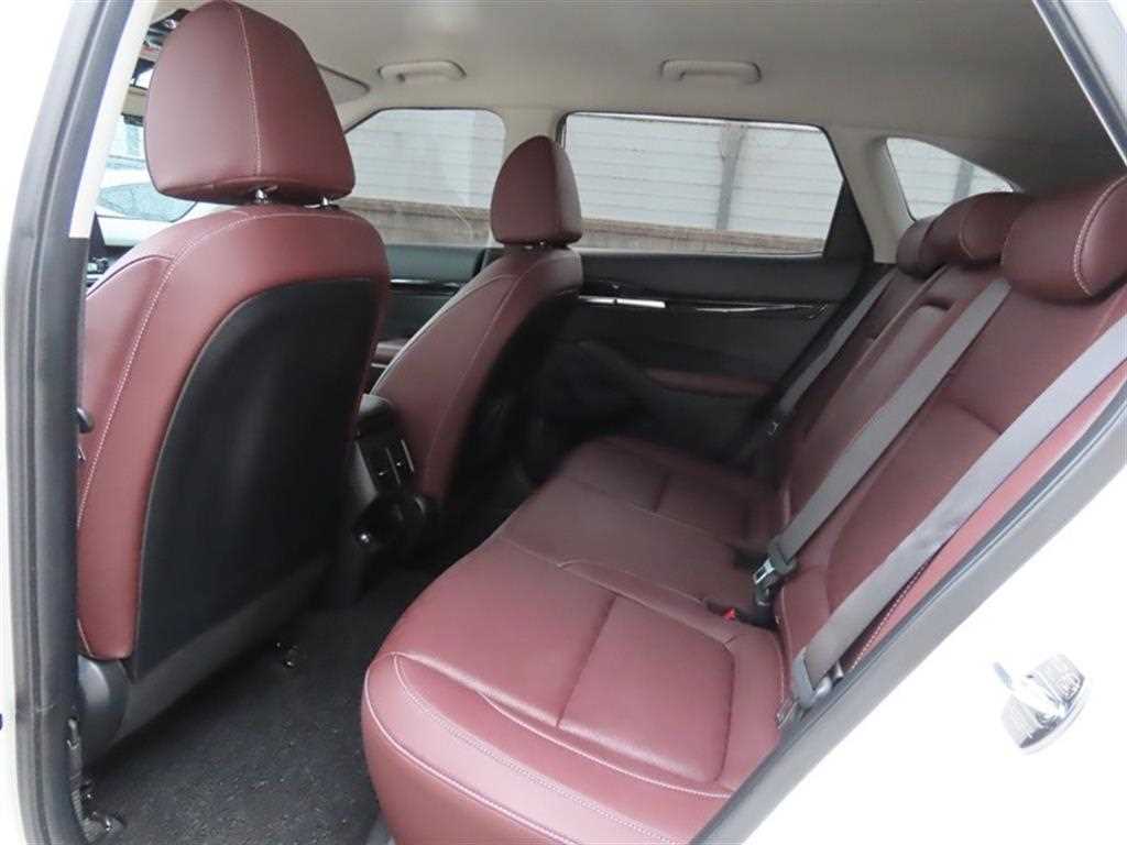 KIA Seltos - Vista 7