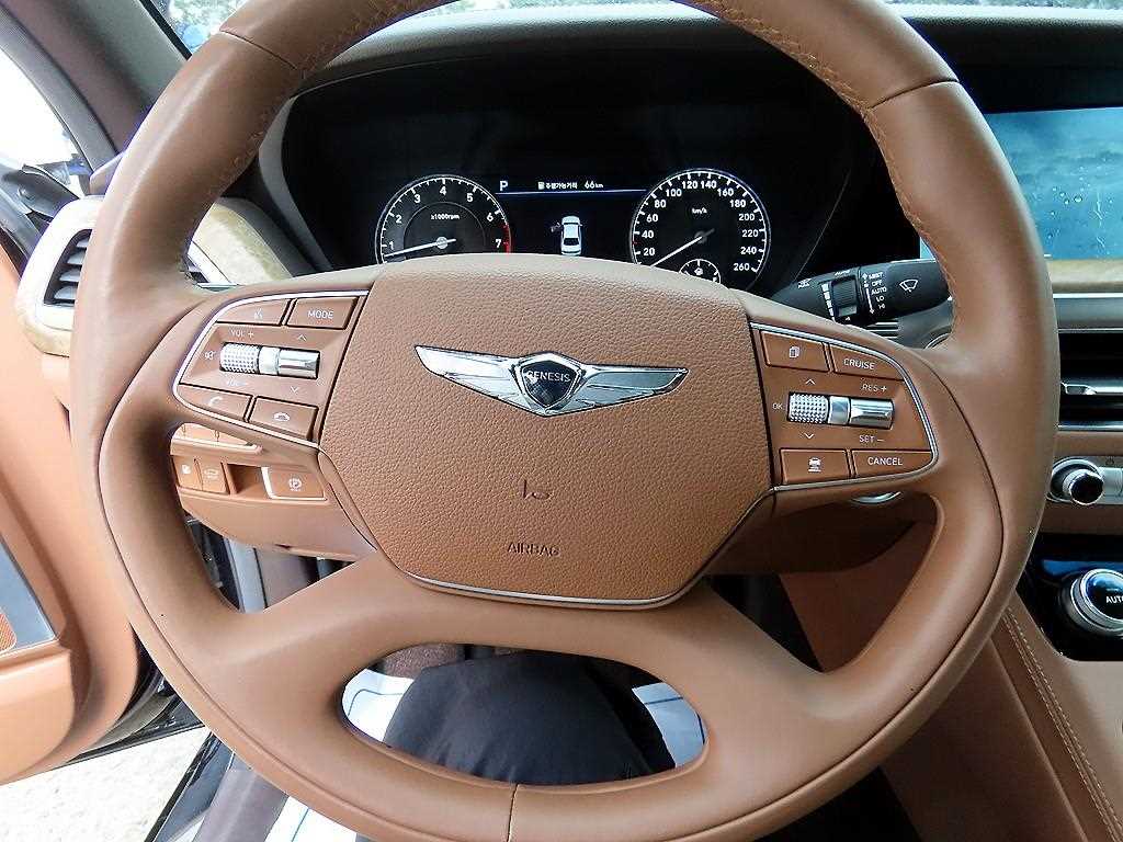 Genesis G90 - Vista 8