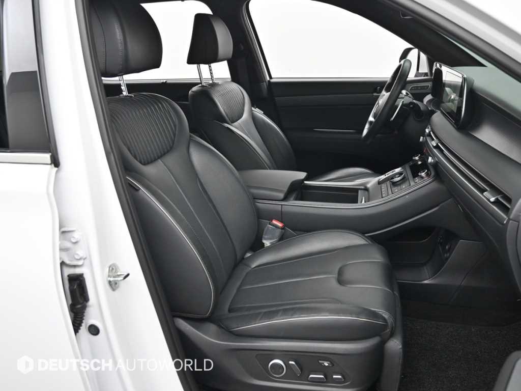 HYUNDAI Palisade - Vista 10