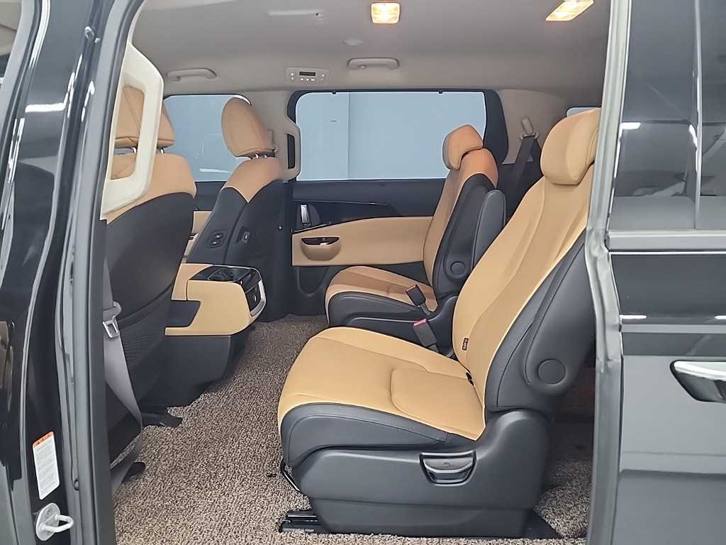 KIA Carnival - Vista 12