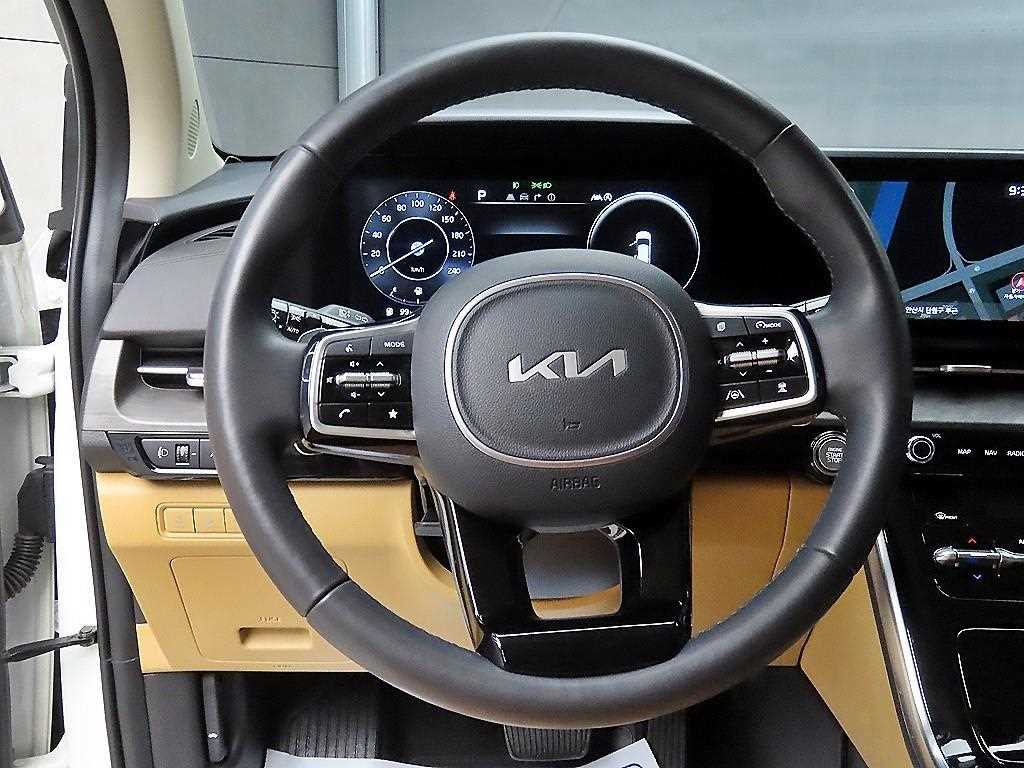 KIA Carnival - Vista 9