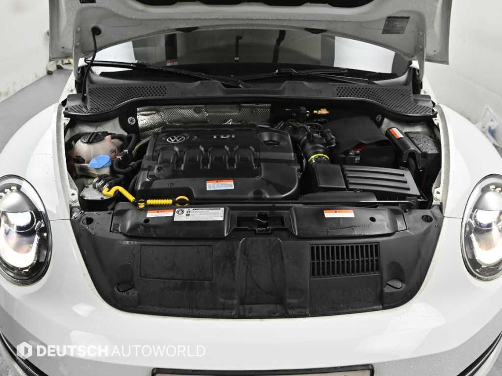 Volkswagen Beetle - Vista 6