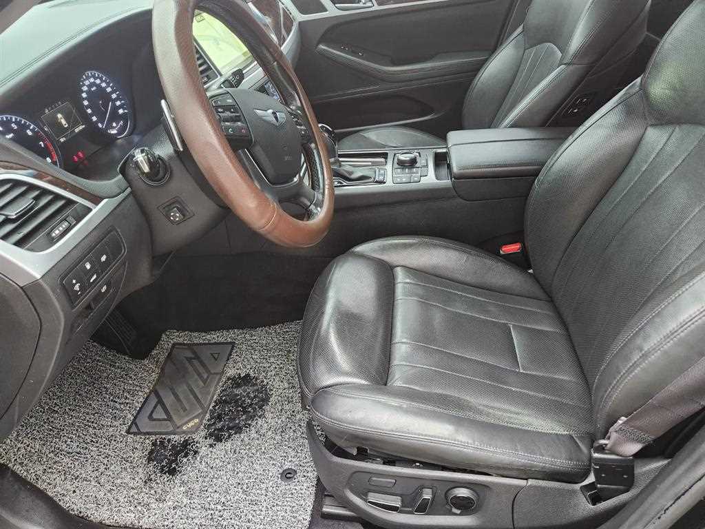 HYUNDAI Genesis - Vista 4